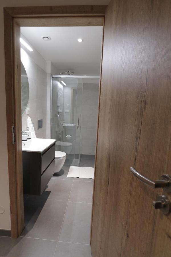 Střešní apartmán s terasou Hradec Králové Esterno foto